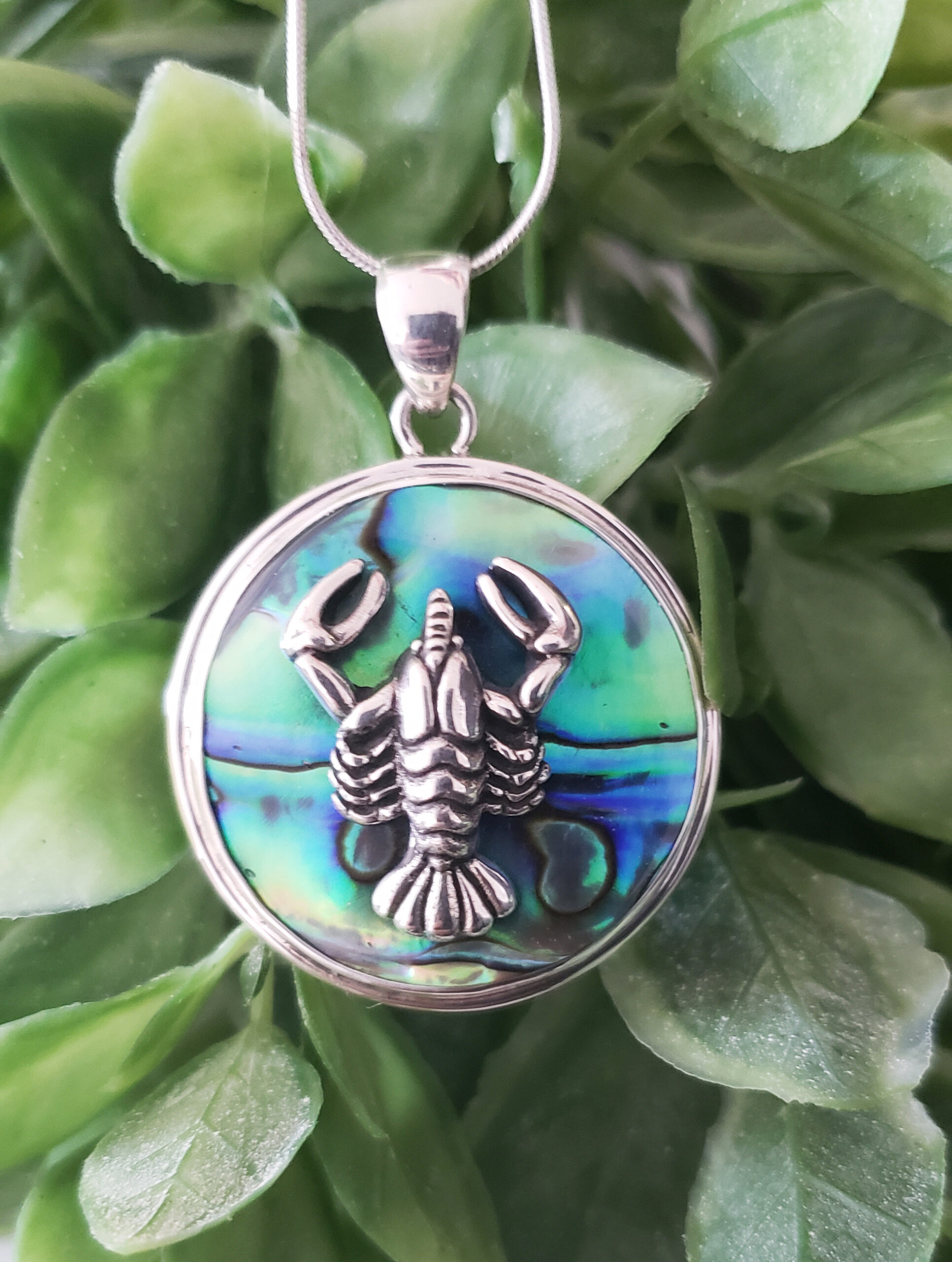 Silver Lobster and Paua Shell pendant (KBP14LP)