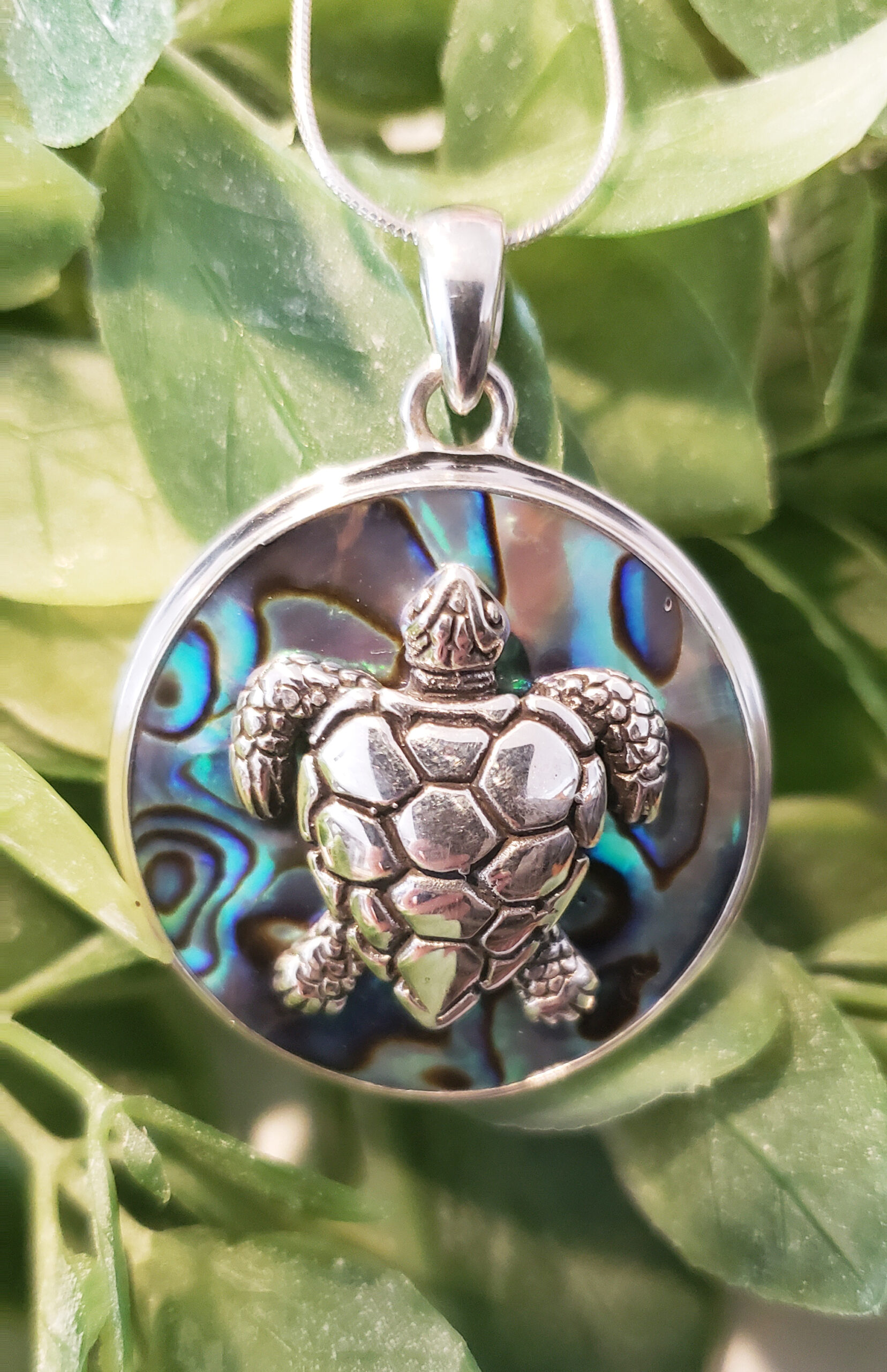 Silver Turtle on Paua Shell Pendant (KBP14T)